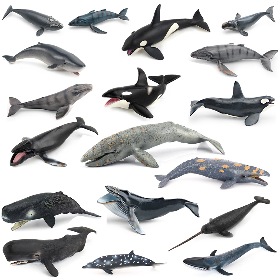 Realistic Humpback Whale Sperm - Kids Toys Under 100 incelemesi ve fiyatı