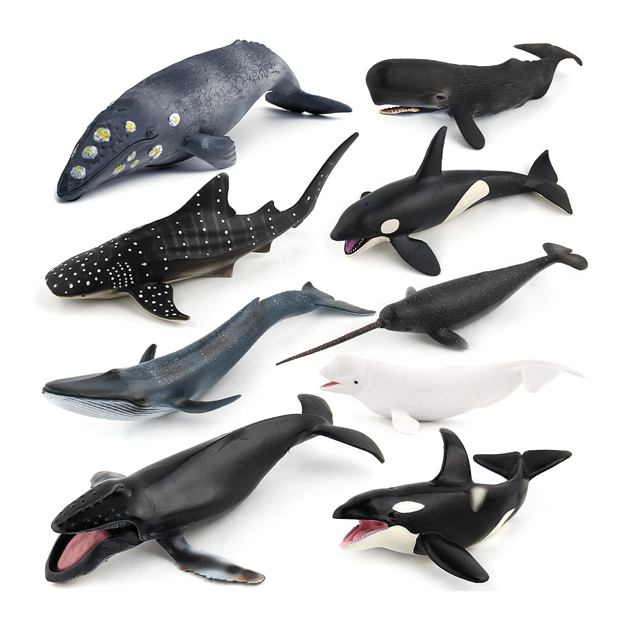 Realistic Humpback Whale Sperm - Kids Toys Under 100 incelemesi ve fiyatı