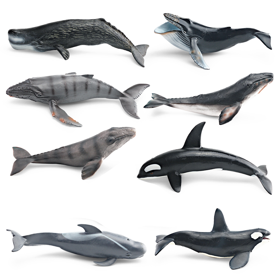 Realistic Humpback Whale Sperm - Kids Toys Under 100 incelemesi ve fiyatı