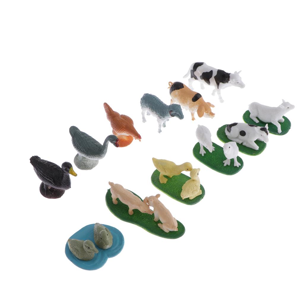 Animal Model Card Set Montesso - Kids Toys In Store incelemesi ve fiyatı