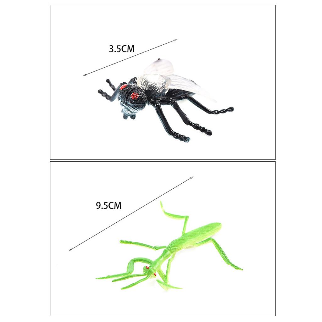 Simulation Animal Model Decora - Kids Toys In Store incelemesi ve fiyatı