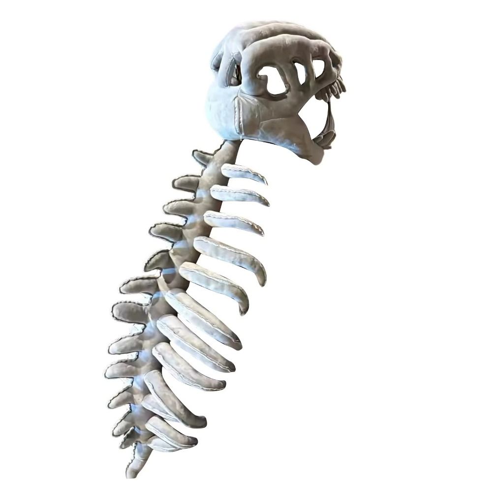 3D Dinosaur Skeleton Toys Funn - Kids Toys Videos incelemesi ve fiyatı