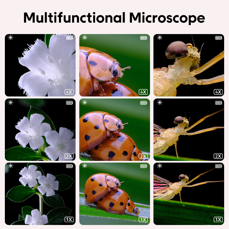 Mini Kids Optical Microscope W - Kids Toys Videos incelemesi ve fiyatı